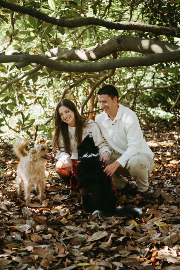 couple engagement shoot with dogs under tree hampton park engagement photoshoot