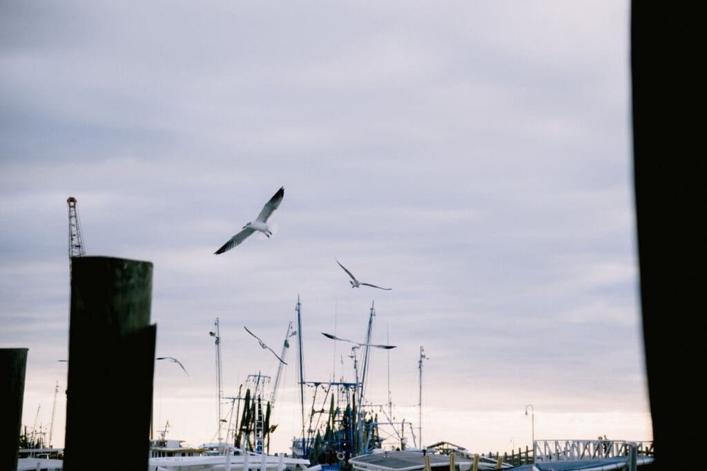 shem creek south carolina